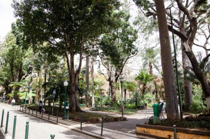 Central Funchal Apartment - Garden - Free Parking & Ac Luaran gambar