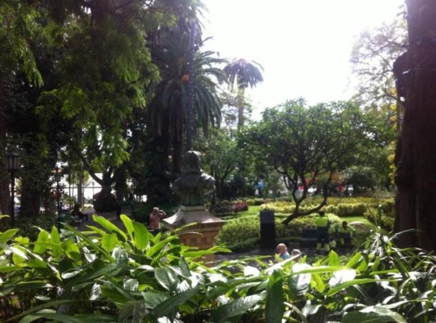 Central Funchal Apartment - Garden - Free Parking & Ac Luaran gambar